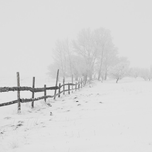 Winter Years