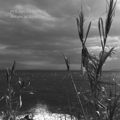 Polaroid Notes - Return To Echo Bay