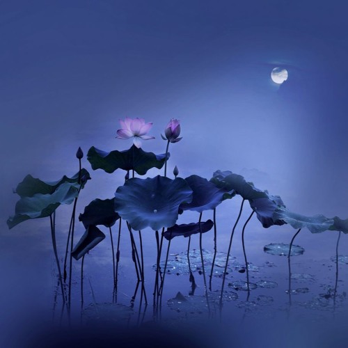 Stream 荷塘月色- 伴奏01 by teacher | Listen online for free on