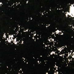 savior - fallen stars (prod. vinci)