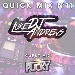 Quickmix #11 (Guest Mix Pucky)