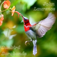 Sunbird Sarabande, guitar & penny whistle