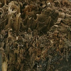 Solo at Space4235 Genova