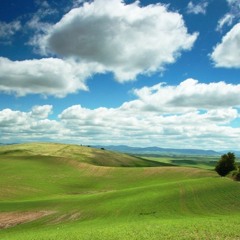 "Home, Plainbound" alternative mix