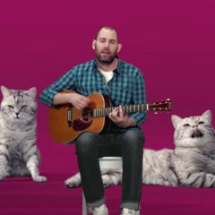 Сергей Слепаков - Котозависимость