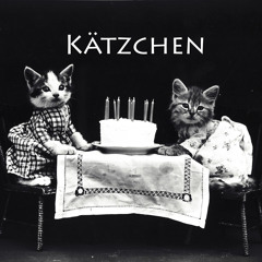 Kätzchen