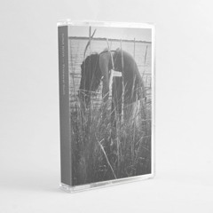 [NooLtd22] IUNA NIVA – Primeval Guilt