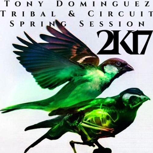 Tony Dominguez - Tribal & Circuit (Spring Session 2K17)
