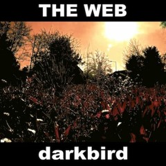 THE WEB - darkbird