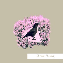 Forever Young (wheniwas20)