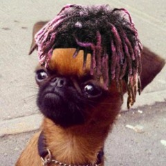 1.5. XO Tour Llif3 *SLOWED DOWN*