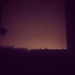 What Do You Think We Can Do Today?