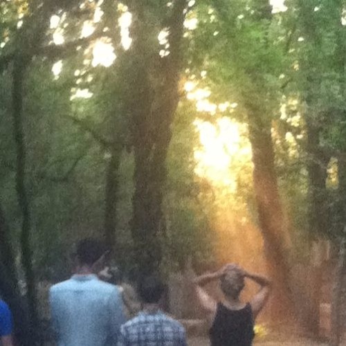Rain on Leaves in A Garden
