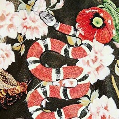 Gucci Snakes