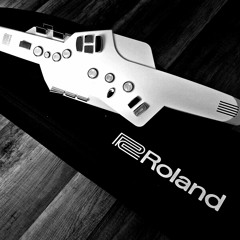 Roland Aerophone AE-10 Tryout!