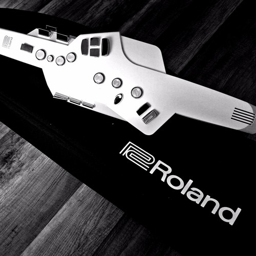 Roland Aerophone AE-10 Tryout!