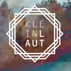 The Timber Taal live @ kleinlaut w/ Rey & Kjavik (24. March 2017)