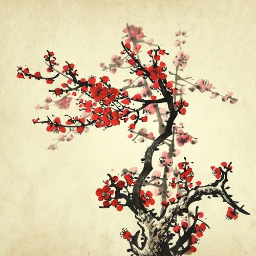 Lotus Preview (taken from upcoming album)