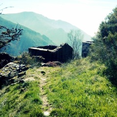 Adrián Barreiro - Sentires