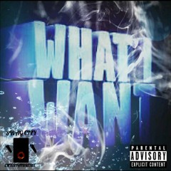 What_I_Want_FreeStyle