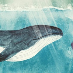 Wachún - Radiante Mar