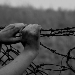 Isolationism