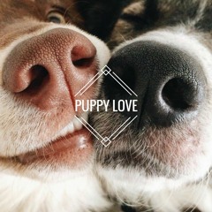 PUPPY LOVE [Mar 27th, 2017]