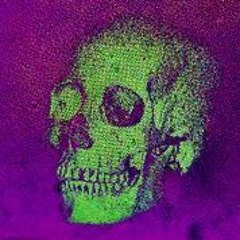 Tʜᴇ Rᴀʙʙɪᴛ Hᴏʟᴇ