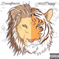 |No Hook| X 205.Payy