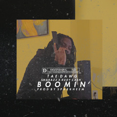 DMV crank