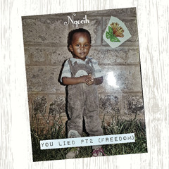 You Lied pt 2 (Freedom)