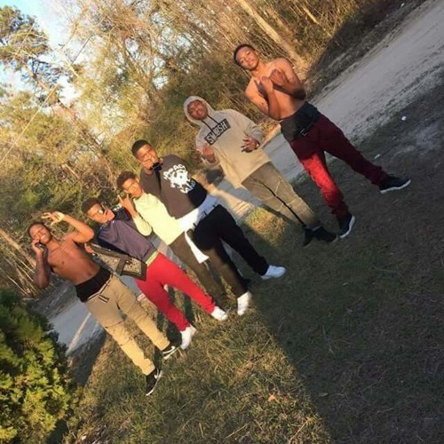 Cbr Tank- Bridge Vision (Snipp)