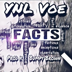 FACTS ( PROD. X BUMPY BROWN)