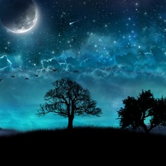 Midnight breeze (Perky callin)