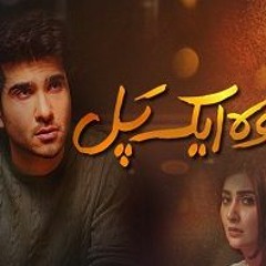 Woh Aik Pal Drama OST Hum Tv Nabeel Shaukat Ali .MKV
