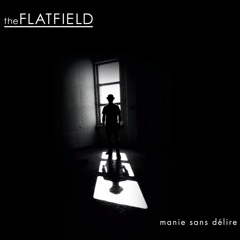 The Flatfield -  The Moment