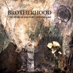 Brotherhood - Damned