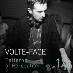Patterns of Perception 14 - Volte-Face