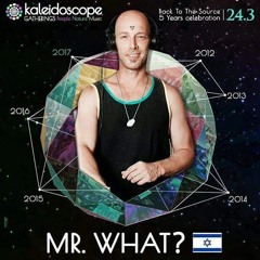 Mr.What? - Special Progschool Set