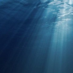 Bajo el Agua (Under Water)