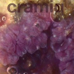 cramiq - Medusa