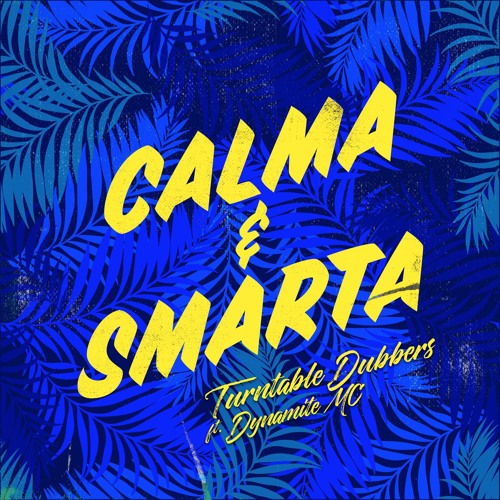 Calma & Smarta (Subtropics remix) - Turntable Dubbers ft Dynamite MC