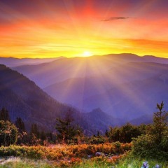 Sunrise