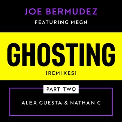 Joe Bermudez ft Megn - Ghosting (Nathan C Remix)