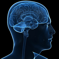 psycho-brain