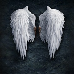 Аномалия -свобода