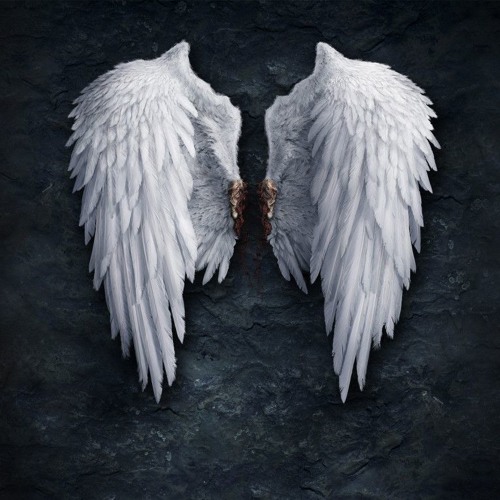 Аномалия -свобода