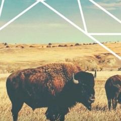 In Angles - This Side Of The Fence