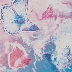 나비효과(Butterfly Effect) draft inst.