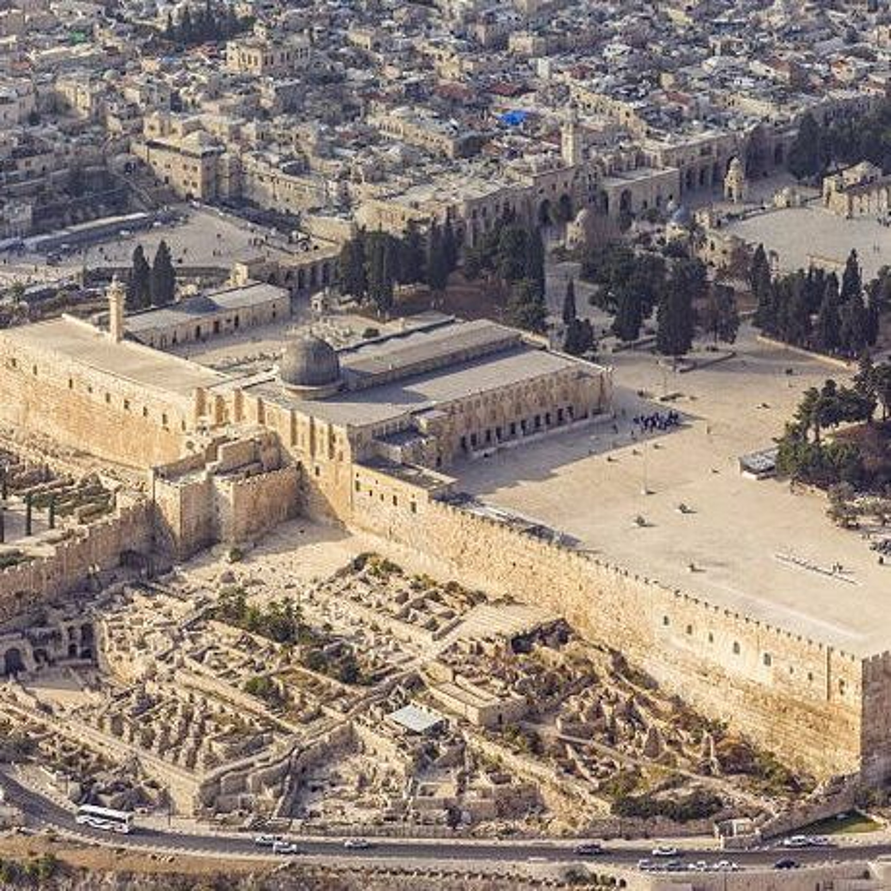 Jesus Christ, the Son of David, Owns the Temple thumbnail
